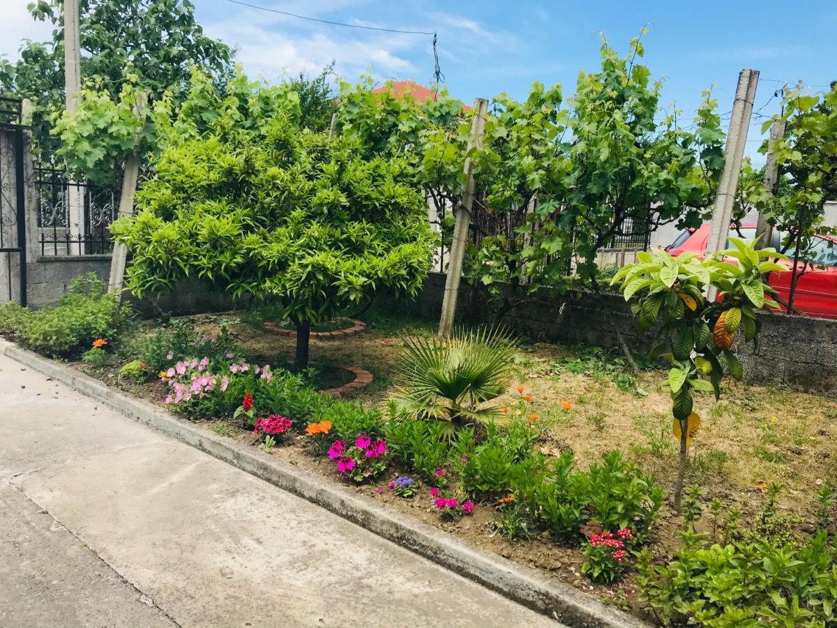 Villa Ajla ドゥラス エクステリア 写真